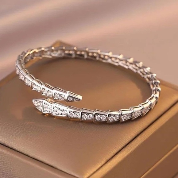 Anthropologie Serpentine Silver Adjustable Bracelet - Picture 1 of 9